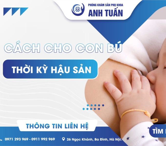 Cách cho con bú đúng cách trong thời kỳ hậu sản